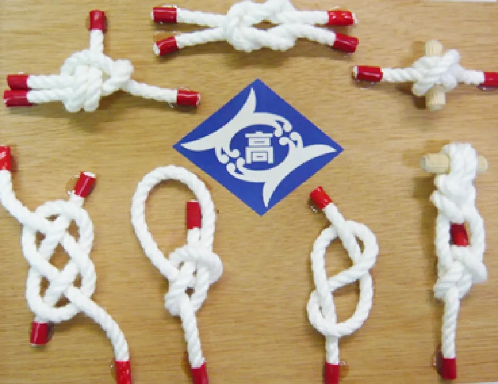 結索標本づくりのイメージ