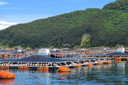 インターネット自動給餌機　餌ロボ