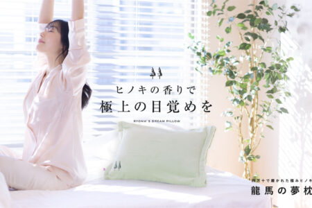 龍馬の夢枕　きづかい枕